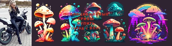 кокаин Бородино