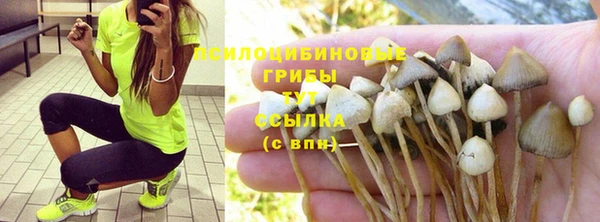 гашик Бугульма